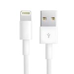 Cable Carga USB a Lightning 1 Metro 20W - imagen 1