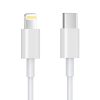 Cable USB-C a Lightning alta velocidad Rayoshop Chile