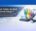 Tipos de cables de red Ethernet explicados por Rayoshop Chile